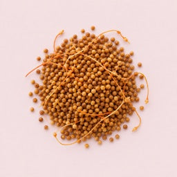 Cuscuta Seed